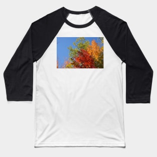 Foliage in Autumn Baseball T-Shirt